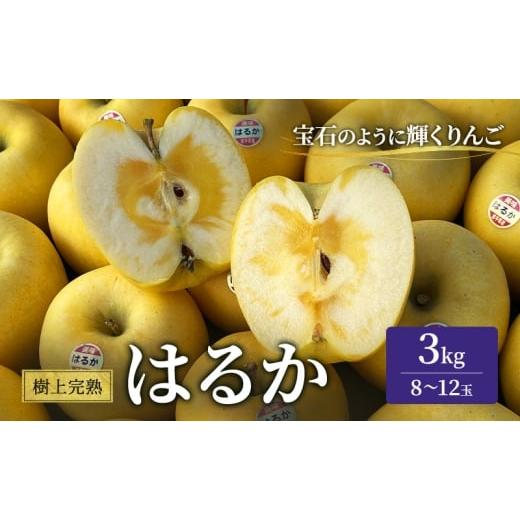 ふるさと納税 りんご 岩手県 盛岡市 樹上完熟はるか 約3kg 林檎 リンゴ 果物 フルーツ おやつ デザート 旬の果物 旬のフルーツ 季節の果物 季節のフルーツ 岩…