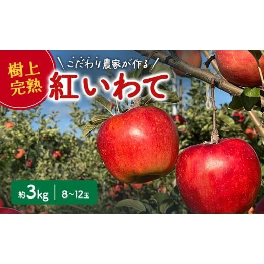 ふるさと納税 りんご 岩手県 盛岡市 紅いわて 3kg 林檎 リンゴ 果物 フルーツ おやつ デザート 旬の果物 旬のフルーツ 季節の果物 季節のフルーツ 岩手りんご …