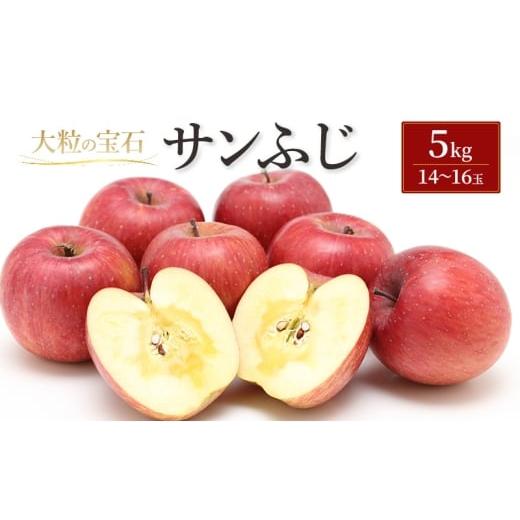 ふるさと納税 りんご 岩手県 盛岡市 サンふじ 5kg(一般)林檎 リンゴ 果物 フルーツ おやつ デザート 旬の果物 旬のフルーツ 季節の果物 季節のフルーツ 岩手…