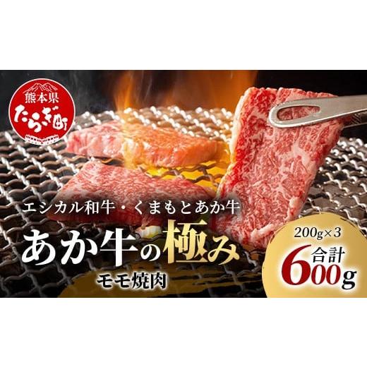 ふるさと納税 牛肉 モモ 熊本県 多良木町 年末発送 エシカル和牛 くまもとあか牛 〜あか牛の極み〜 モモ 焼肉 200g×3 (計 600g) モモ 赤身 熊本 あか牛 牛肉 …