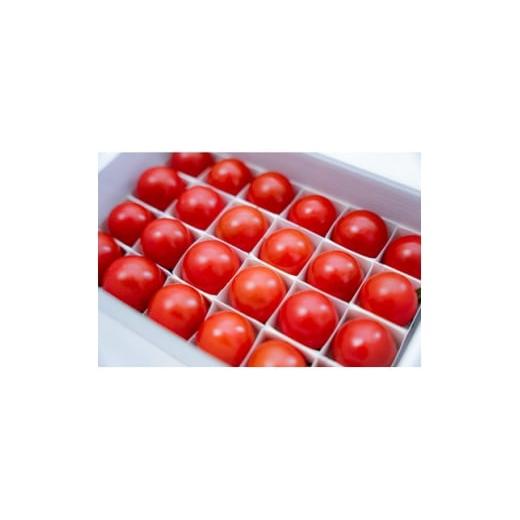 ふるさと納税 野菜類 トマト 埼玉県 桶川市 大人気ギフト 極甘高糖度フルーツトマト「ポモ・ロッサ」 24粒入りギフトボックス 1616590