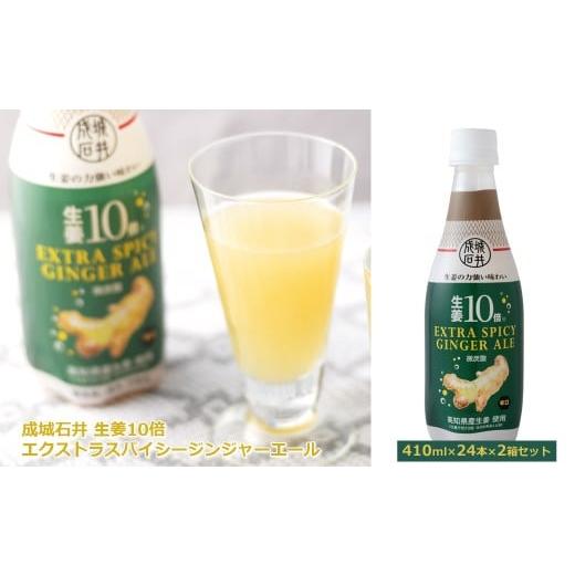 ふるさと納税 炭酸飲料 神奈川県 山北町 成城石井 生姜10倍 エクストラスパイシージンジャーエール 410ml×24本×2箱セット