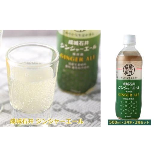 ふるさと納税 炭酸飲料 神奈川県 山北町 成城石井 ジンジャーエール 500ml×24本×2箱セット