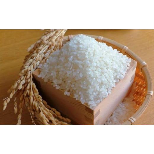 ふるさと納税 米 長崎県 佐世保市 C330 自然栽培米「ひのひかり」白米5kg