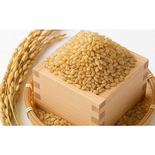 ふるさと納税 米 長崎県 佐世保市 C332 自然栽培米「ひのひかり」玄米5kg