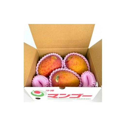 ふるさと納税 マンゴー 沖縄県 中城村 2026年6月から順次発送・訳あり アップルマンゴー1.5kg(3〜6玉) 1681760