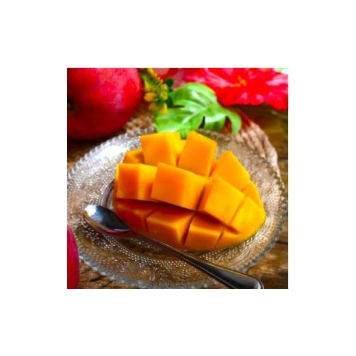 ふるさと納税 マンゴー 沖縄県 中城村 2026年6月から順次発送・化粧箱 JAおきなわが厳選したアップルマンゴー1kg(2〜3玉) 1681767