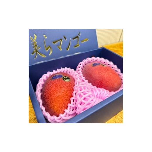 ふるさと納税 マンゴー 沖縄県 中城村 2026年6月から順次発送・数量限定 糖度15度以上を選別した「美らマンゴー」約900g(2玉) 1681771