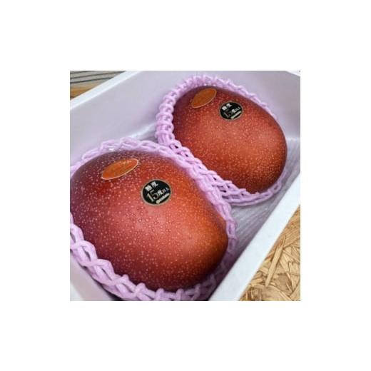 ふるさと納税 マンゴー 沖縄県 中城村 2026年6月から順次発送・数量限定 糖度15度以上を選別した「プレミアムマンゴー」2玉 1681773