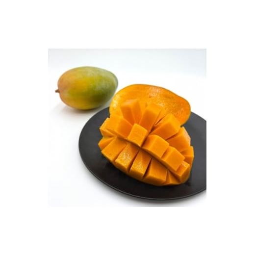 ふるさと納税 マンゴー 沖縄県 中城村 2026年8月から順次発送・化粧箱 JAおきなわ厳選した幻のキーツマンゴー2kg(2〜3玉) 1681785