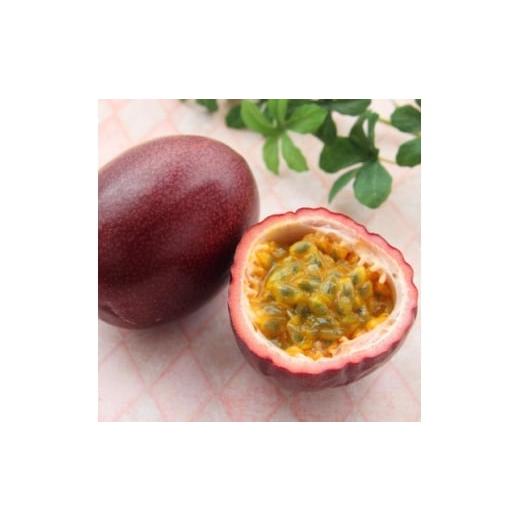 ふるさと納税 果物類 沖縄県 中城村 2026年5月から順次発送・贈答用 JAおきなわが厳選したパッションフルーツ1kg(8〜10玉) 1681790