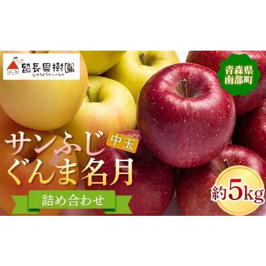 ふるさと納税 りんご 青森県 南部町 サンふじ・ぐんま名月 詰め合わせ (中玉) 約5kg [18-20個入] 留長果樹園 青森りんご りんご リンゴ 林檎 アップル ふじ …