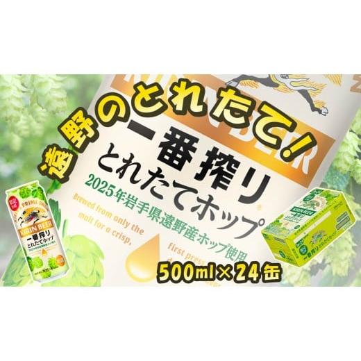 ふるさと納税 ビール 岩手県 遠野市 キリン とれたてホップ 一番搾り 生ビール 500ml × 24本(1箱)/ 有限会社松田酒店 岩手県 遠野 産 ホップ 使用 キリン…
