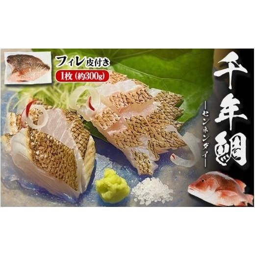 ふるさと納税 魚貝類 鯛 鹿児島県 垂水市 B2-7701/康秀の千年鯛 フィレ 皮つき 1枚(約300g)