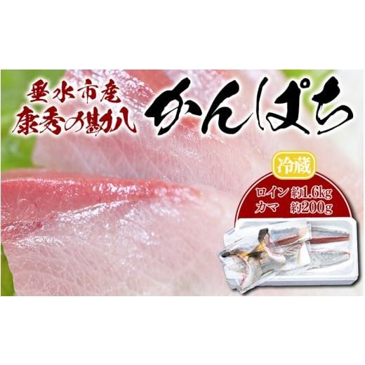 ふるさと納税 旬の鮮魚等 鹿児島県 垂水市 D4-7701/康秀の勘八 ロイン 4柵 + カマ 2個(計約1.8kg)冷蔵