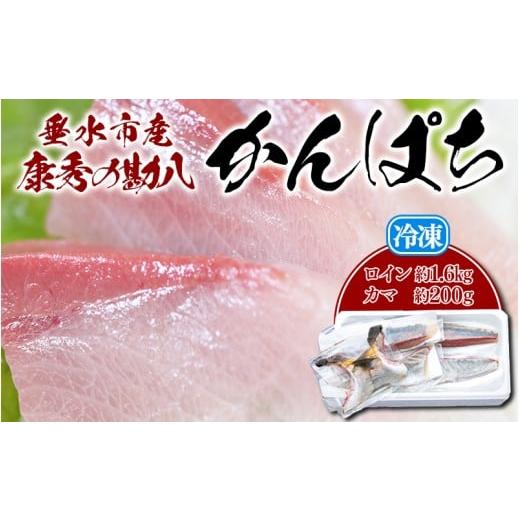 ふるさと納税 旬の鮮魚等 鹿児島県 垂水市 D4-7702/康秀の勘八 ロイン 4柵 + カマ 2個(計約1.8kg)冷凍