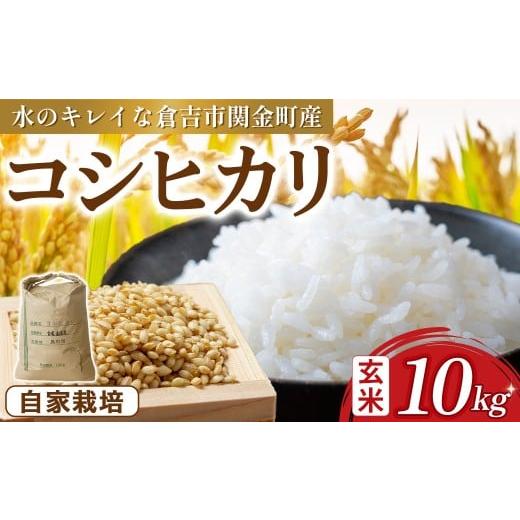 ふるさと納税 玄米 鳥取県 倉吉市 コシヒカリ 玄米 10kg 令和7年産 新米 お米 米 こめ コメ こしひかり 玄米 コシヒカリ ご飯 ごはん 鳥取県 倉吉市産