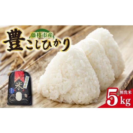 ふるさと納税 米 コシヒカリ 静岡県 藤枝市 令和7年産 お米 静岡県産 豊こしひかり 無洗米 5kg 米 こしひかり 新米 コシヒカリ おこめ 贈り物 人気米 ご飯 …