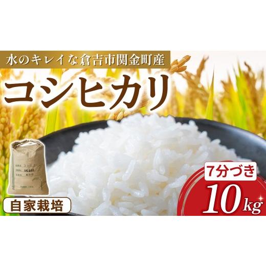ふるさと納税 米 コシヒカリ 鳥取県 倉吉市 コシヒカリ 10kg(7分づき)令和7年産 新米 お米 米 こめ コメ こしひかり コシヒカリ ご飯 ごはん 鳥取県 倉吉市…