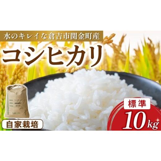 ふるさと納税 米 コシヒカリ 鳥取県 倉吉市 コシヒカリ 10kg(標準)令和7年産 新米 お米 米 こめ コメ こしひかり コシヒカリ ご飯 ごはん 鳥取県 倉吉市産 …