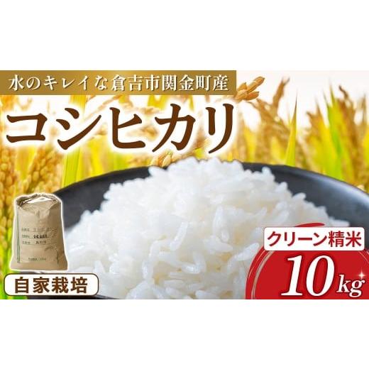 ふるさと納税 米 コシヒカリ 鳥取県 倉吉市 コシヒカリ 10kg(クリーン精米)令和7年産 新米 お米 米 こめ コメ こしひかり コシヒカリ ご飯 ごはん 鳥取県 倉…