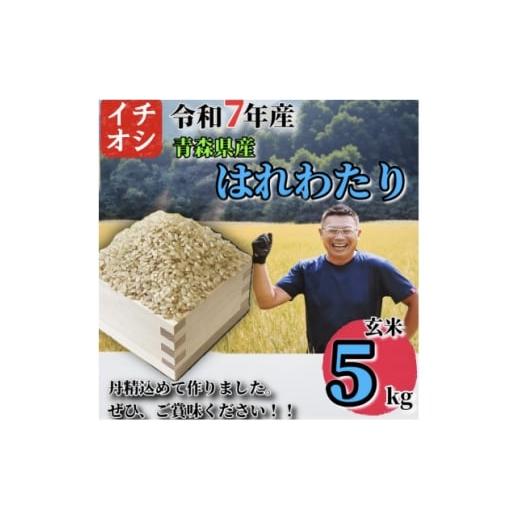 ふるさと納税 玄米 青森県 十和田市 令和7年産 青森県産 はれわたり 玄米 5kg 1684625