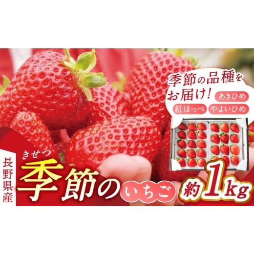 ふるさと納税 いちご 長野県 松本市 松本産 季節のいちご 約1kg(あきひめ・紅ほっぺ・やよいひめ)│いちご 苺 イチゴ あきひめ 紅ほっぺ やよいひめ 果物 …