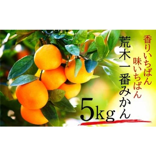 ふるさと納税 果物類 みかん 大分県 国東市 先行予約・年内配送 令和7年12月中出荷/荒木一番みかん約5kg _1271R-1 年内配送