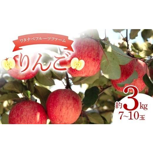 ふるさと納税 りんご 福島県 鏡石町 ワタナベフルーツファームのりんご 約3kg(7〜10玉) リンゴ フルーツ 果物 F6Q-385