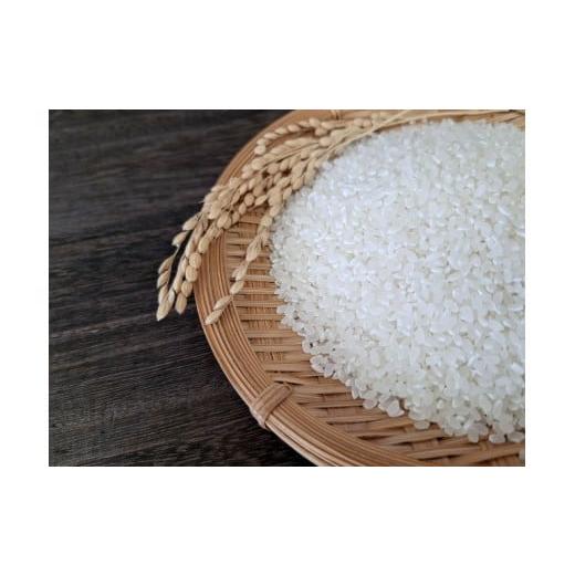 ふるさと納税 無洗米 長野県 松本市 「黒田さん家のお米」長野県松本産こしひかり 無洗米 5kg×1袋 | 米 国産 こめ 松本市 お米 ふるさと納税 信州 無洗米 1等…