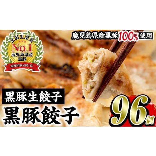 ふるさと納税 餃子 鹿児島県 日置市 No.429-n 2026年3月以降に順次発送予定 鹿児島黒豚使用の黒豚生餃子(計96個・12個入り×8P) 国産 九州産 ぎょうざ ギョウ…