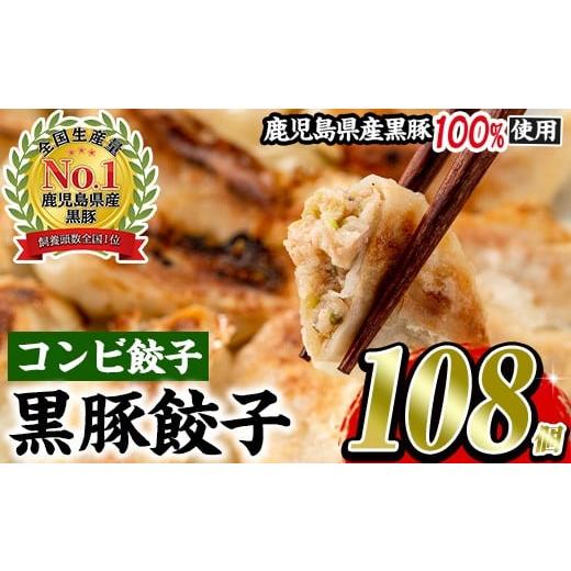 ふるさと納税 餃子 鹿児島県 日置市 No.429-c 2026年3月以降に順次発送予定 鹿児島黒豚使用の黒豚コンビ餃子(計108個・黒豚:12個入り×4パック、もちっと:15…