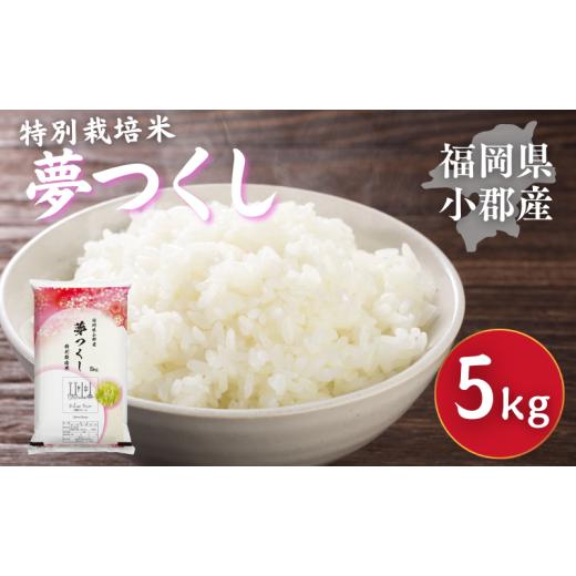 ふるさと納税 米 福岡県 小郡市 特別栽培米 福岡県 小郡産 夢つくし 5kg 米 お米