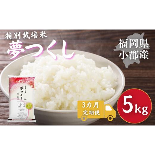 ふるさと納税 米 福岡県 小郡市 定期便 3回 特別栽培米 福岡県 小郡産 夢つくし 5kg 米 お米 3ヶ月