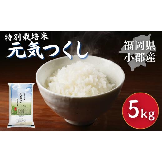 ふるさと納税 米 福岡県 小郡市 特別栽培米 福岡県 小郡産 元気つくし 5kg 米 お米