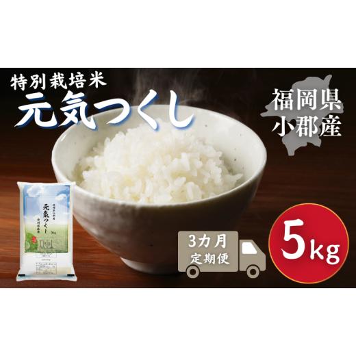 ふるさと納税 米 福岡県 小郡市 定期便 3回 特別栽培米 福岡県 小郡産 元気つくし 5kg 米 お米 3ヶ月