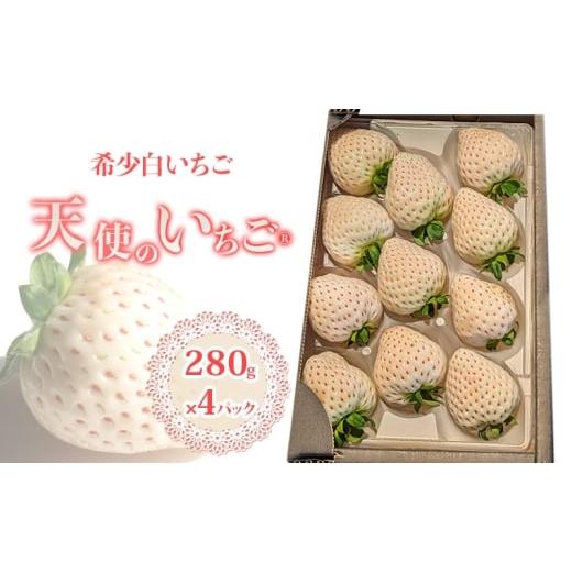 ふるさと納税 いちご 福岡県 小郡市 いちご 『先行予約』 2026年1月上旬以降お届け 天使のいちご 白いちご 280g×4p 計4パック 1120g フルーツ いちご 苺 イチ…