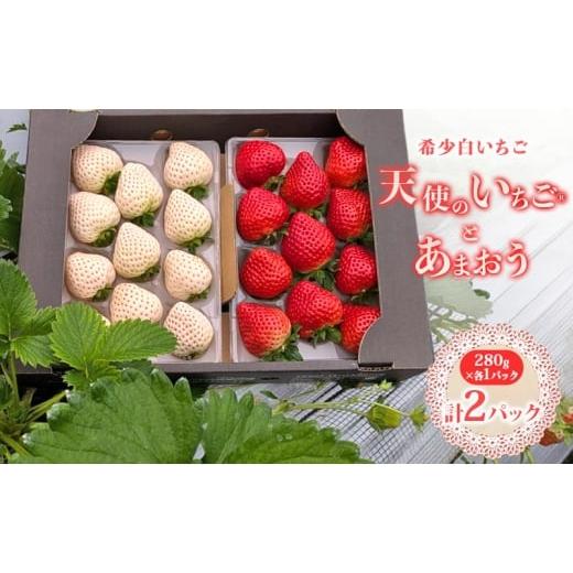 ふるさと納税 いちご 福岡県 小郡市 いちご 『先行予約』 2026年1月上旬以降お届け 天使のいちご 大粒白いちご 280g×1p 厳選あまおうDX 280g×1p 計2パック 5…