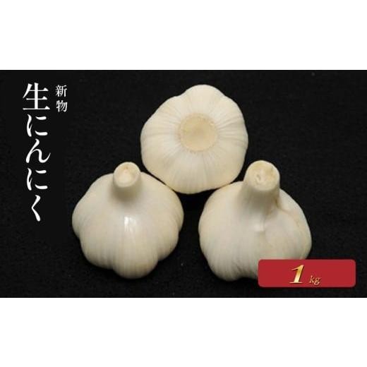 ふるさと納税 野菜類 香川県 丸亀市 先行予約 生にんにく 新物 約1kg ニンニク 生にんにく 大蒜 肉厚 時期限定 ガーリック にんにく 生 香り 料理 香川県 丸…