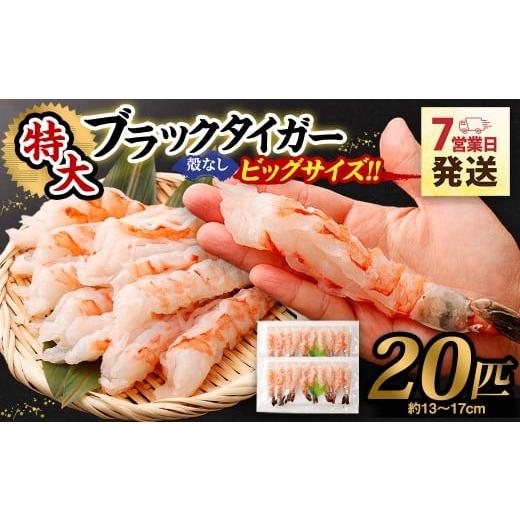 ふるさと納税 エビ 大阪府 阪南市 特大 ブラックタイガー 殻なし ビッグサイズ (20匹) 入金確認後7営業日以内に発送 剥き海老 剥きえび むき海老 むきえび …
