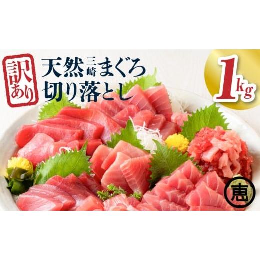 ふるさと納税 マグロ 神奈川県 三浦市 訳あり 天然三崎まぐろ 1kg たっぷり10人分 不揃い赤身 2026年1月お届け M020-013-01 (5)2026年1月お届け