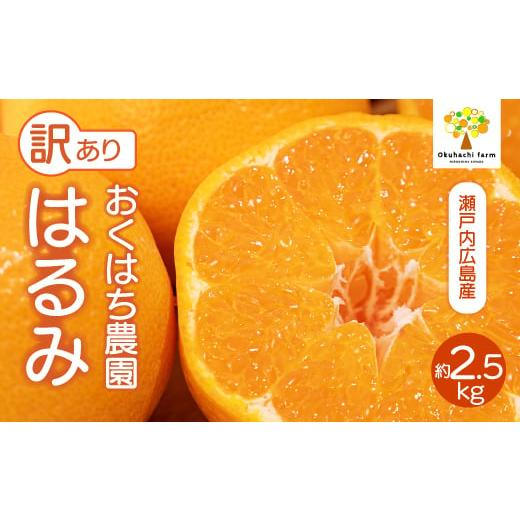 ふるさと納税 果物類 みかん 広島県 三原市 おくはち農園 [訳あり]はるみ 2.5kg [2026年2〜3月発送予定] 栽培期間中 防腐剤 ワックス 不使用 旬 柑橘 か…