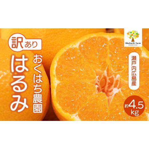 ふるさと納税 果物類 みかん 広島県 三原市 おくはち農園 [訳あり]はるみ 4.5kg [2026年2〜3月発送予定]栽培期間中 防腐剤 ワックス 不使用 旬 柑橘 かん…