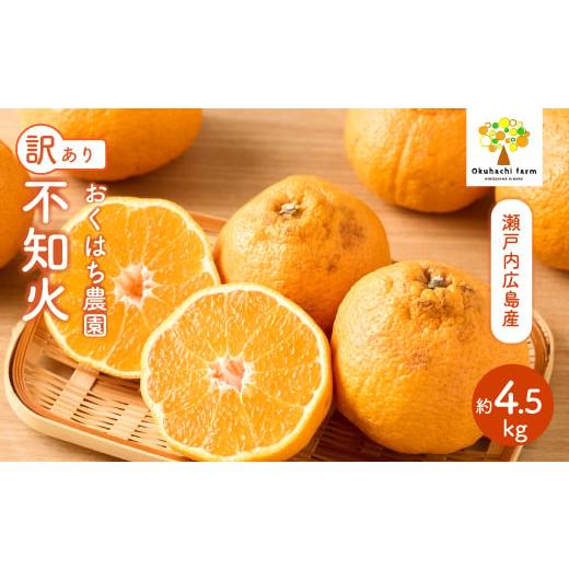 ふるさと納税 果物類 みかん 広島県 三原市 おくはち農園 [訳あり]不知火(しらぬい) 4.5kg [2026年3〜4月発送予定]栽培期間中 防腐剤 ワックス 不使用 …