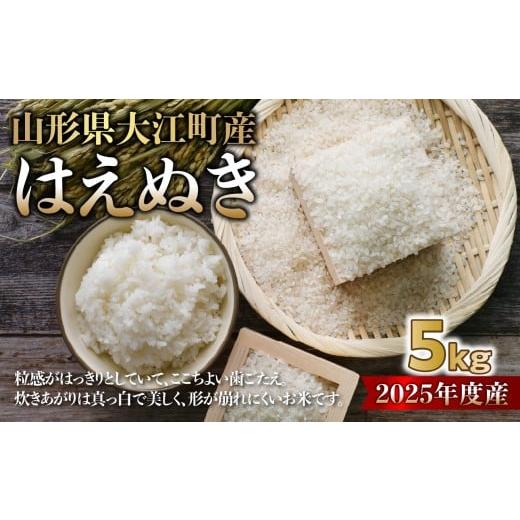 ふるさと納税 米 山形県 大江町 山形県大江町産 はえぬき5kg 2025年度産米 004-019