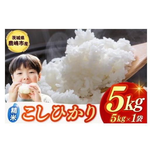 ふるさと納税 米 コシヒカリ 茨城県 鹿嶋市 令和7年産米 お米 コシヒカリ 精米 5kg 鹿嶋市産 こしひかり 米 コメ ごはん ライス ブランド米 茨城県 鹿嶋市 (K…