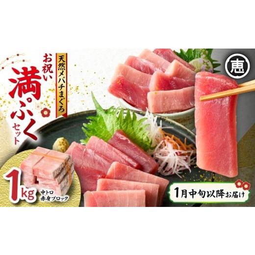 ふるさと納税 マグロ 神奈川県 三浦市 1月中旬以降お届け 天然 目鉢まぐろ お祝い満ぷくセット 中トロ赤身1kgブロック 迎春 三崎まぐろ 三崎恵水産 M020-020…