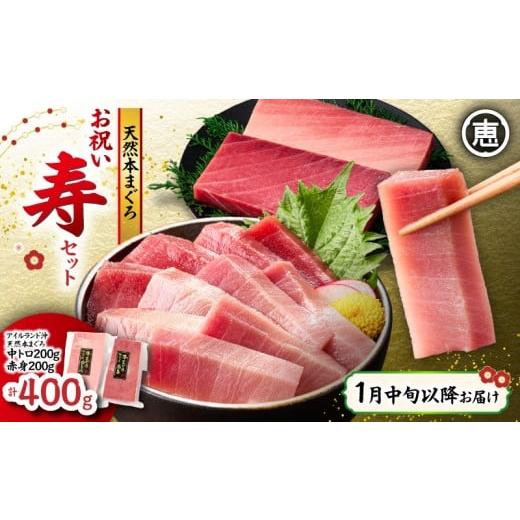 ふるさと納税 マグロ 神奈川県 三浦市 1月中旬以降お届け 天然 本まぐろ お祝い寿セット 中トロ200g 赤身200g 迎春 三崎まぐろ 三崎恵水産 M020-021-03-11