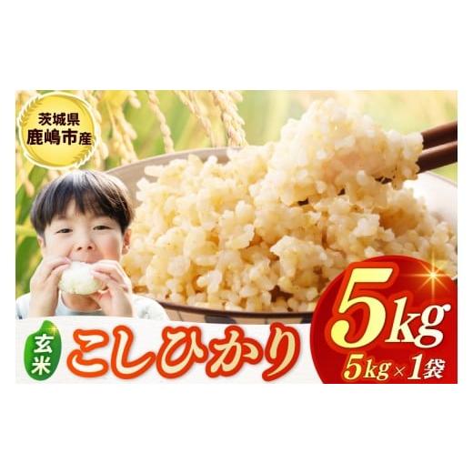 ふるさと納税 米 コシヒカリ 茨城県 鹿嶋市 令和7年産米 お米 コシヒカリ 玄米 5kg 鹿嶋市産 こしひかり 米 コメ ごはん ライス ブランド米 茨城県 鹿嶋市 (K…