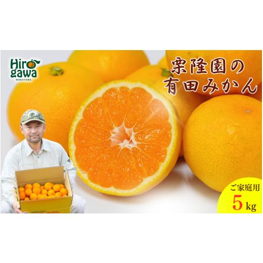 ふるさと納税 果物類 みかん 和歌山県 広川町 有田 みかん ご家庭用 サイズ混合 5kg / 有田みかん 温州みかん 甘い 家庭用 和歌山 柑橘 5kg 11月上旬〜翌年1…